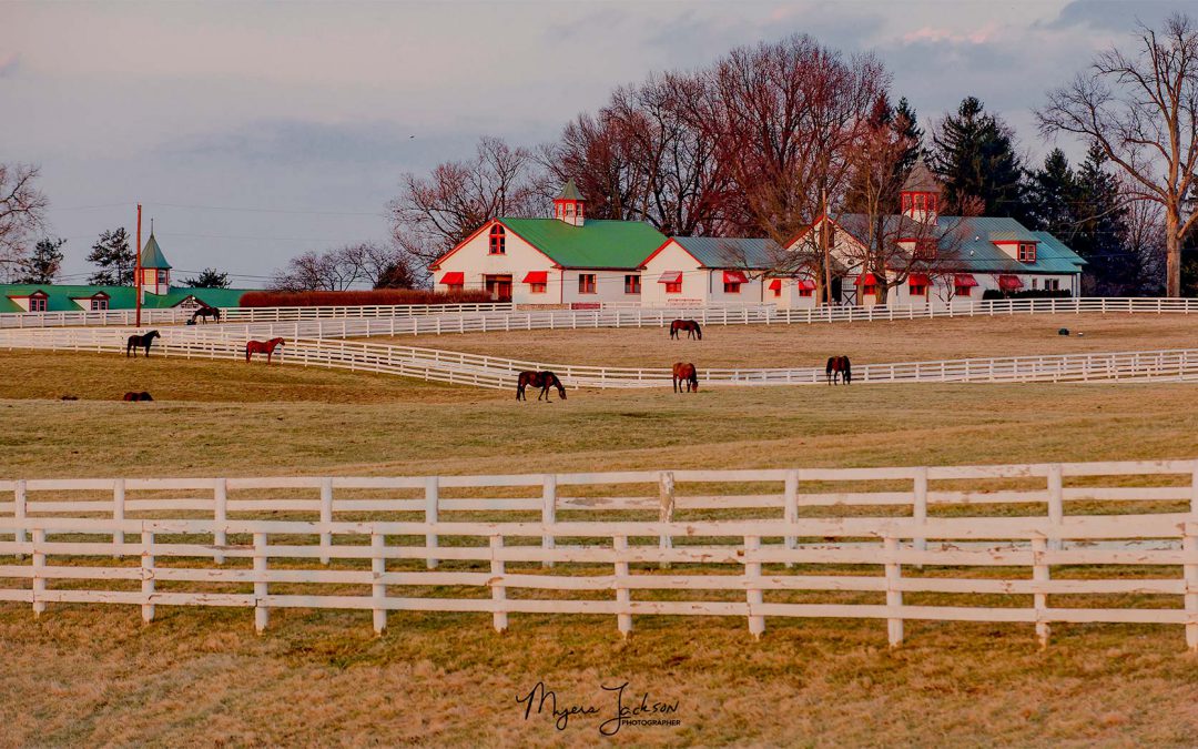 North American Horse Farm Properties