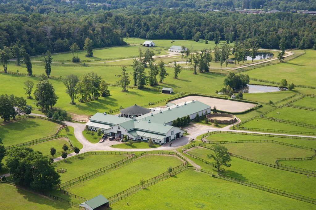 Luxury Horse Farm Auction
