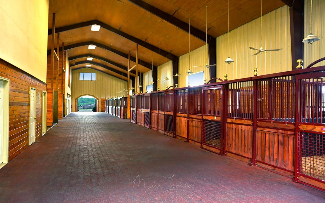 Auctioneers Worldwide – Photo Gallery by Myers Jackson