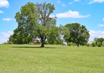 Ellis County Land Auction . Myers Jackson Auctioneer 17057