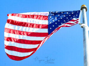 flags for vets 