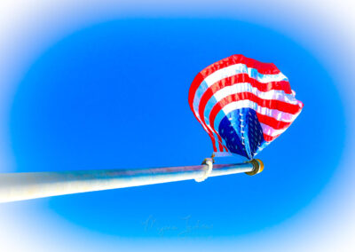 flags for vets