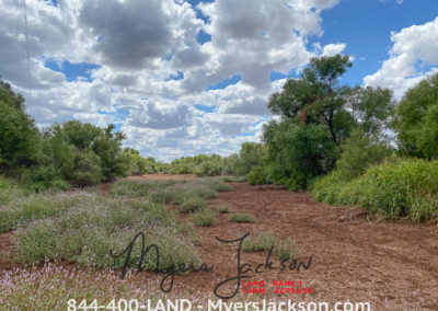 Texas Ranch Land for Sale in Cottle County Town of Paducah, Paducah TX
