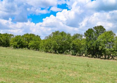 texas acreage for sale by county