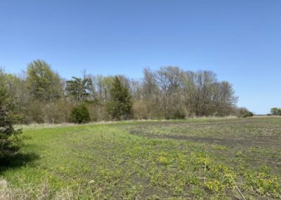 Lamar County land for sale