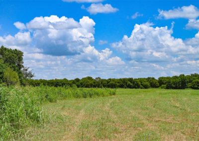 how to find land for sale in texas