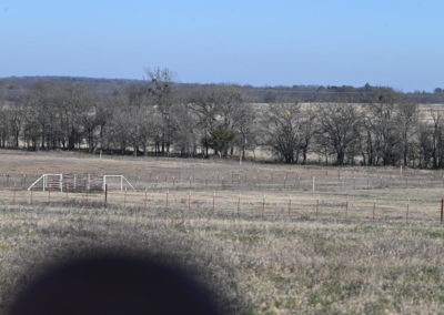 Hopkins County Acreage for Sale Consisting of 3 Lots