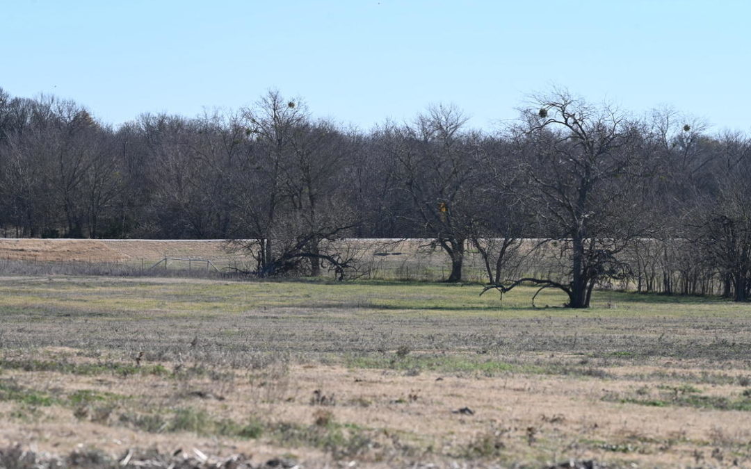 Ranch Land for Sale in North East Texas