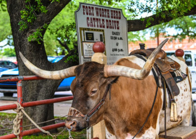 Myers Jackson loves the Fort Worth Stockyards in Texas
