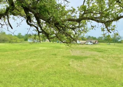 Grimes County Texas Land Auction