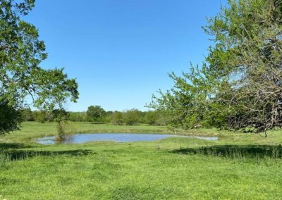 Place Bids for Texas Land and Ranch Property Near Dallas Texas