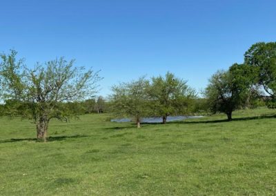 Place Bids for Texas Land and Ranch Property Near Dallas Texas