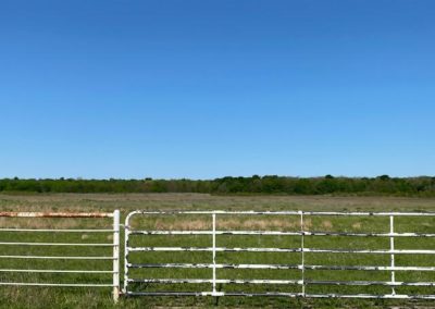 Place Bids for Texas Land and Ranch Property Near Dallas Texas