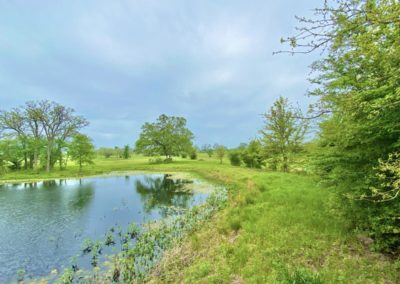 Grimes County Texas Land Auction