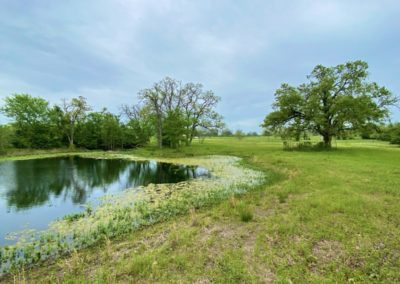 Grimes County Texas Land Auction