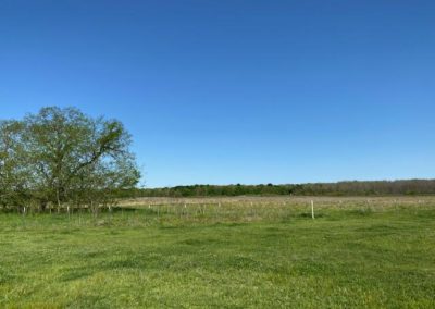 Place Bids for Texas Land and Ranch Property Near Dallas Texas