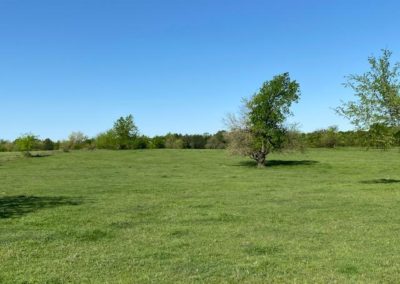 Place Bids for Texas Land and Ranch Property Near Dallas Texas