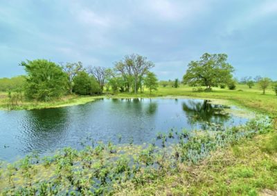 Grimes County Texas Land Auction