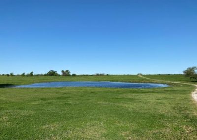 Place Bids for Texas Land and Ranch Property Near Dallas Texas