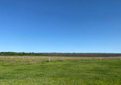 Place Bids for Texas Land and Ranch Property Near Dallas Texas