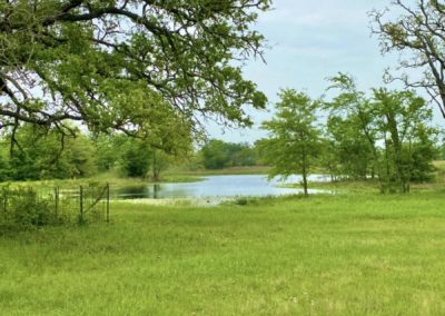 Grimes County Texas Land Auction