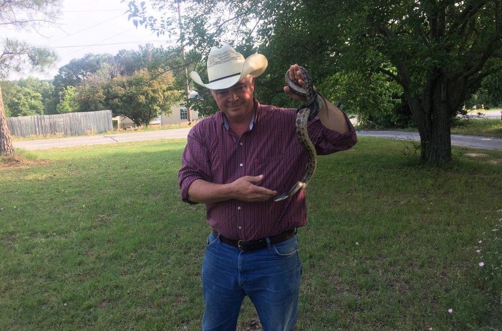 Texas Rat Snake Observance by Mark Donahew