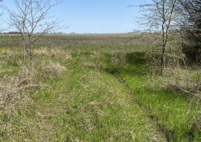 Texas farmland