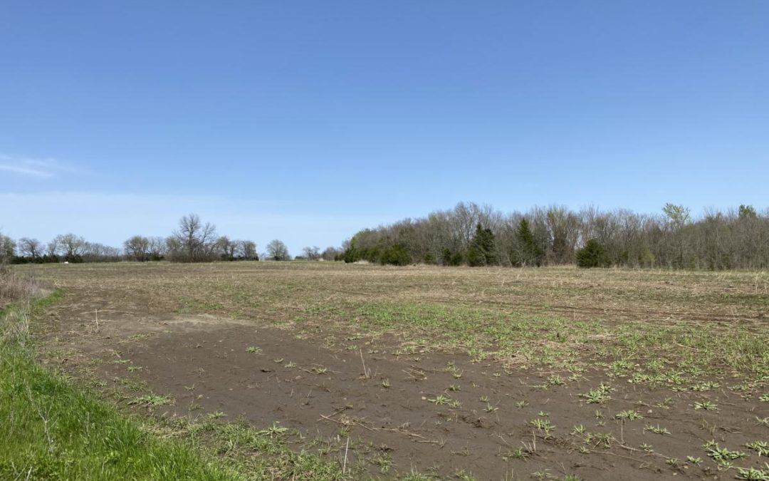 45ac Texas Farmland Near Paris