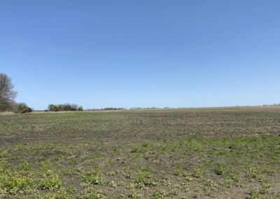 farmland for sale in North Texas