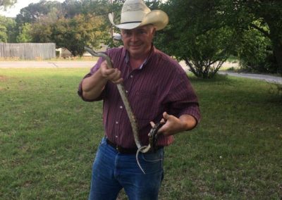 Texas Rat Snake Observance by Real Estate Agent Mark Donahew