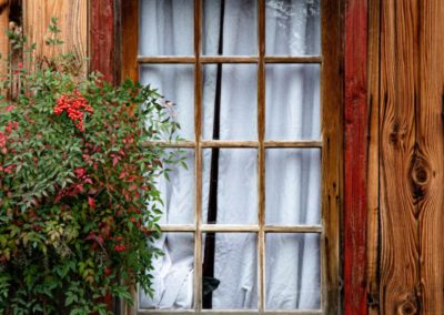 Gruene Texas Cabins - New Braunfels Texas