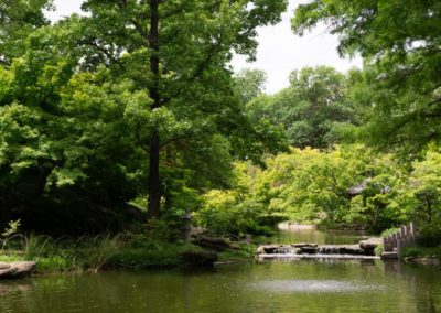 Fort Worth Botanic Garden; Fort Worth Texas; Botanical Gardens