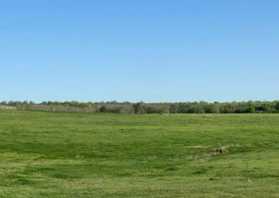 farm land for sale near Dallas TX, Hopkins CO TX, Northeast Texas real for sale