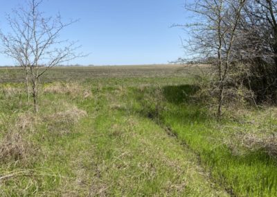 buy farm land in Texas