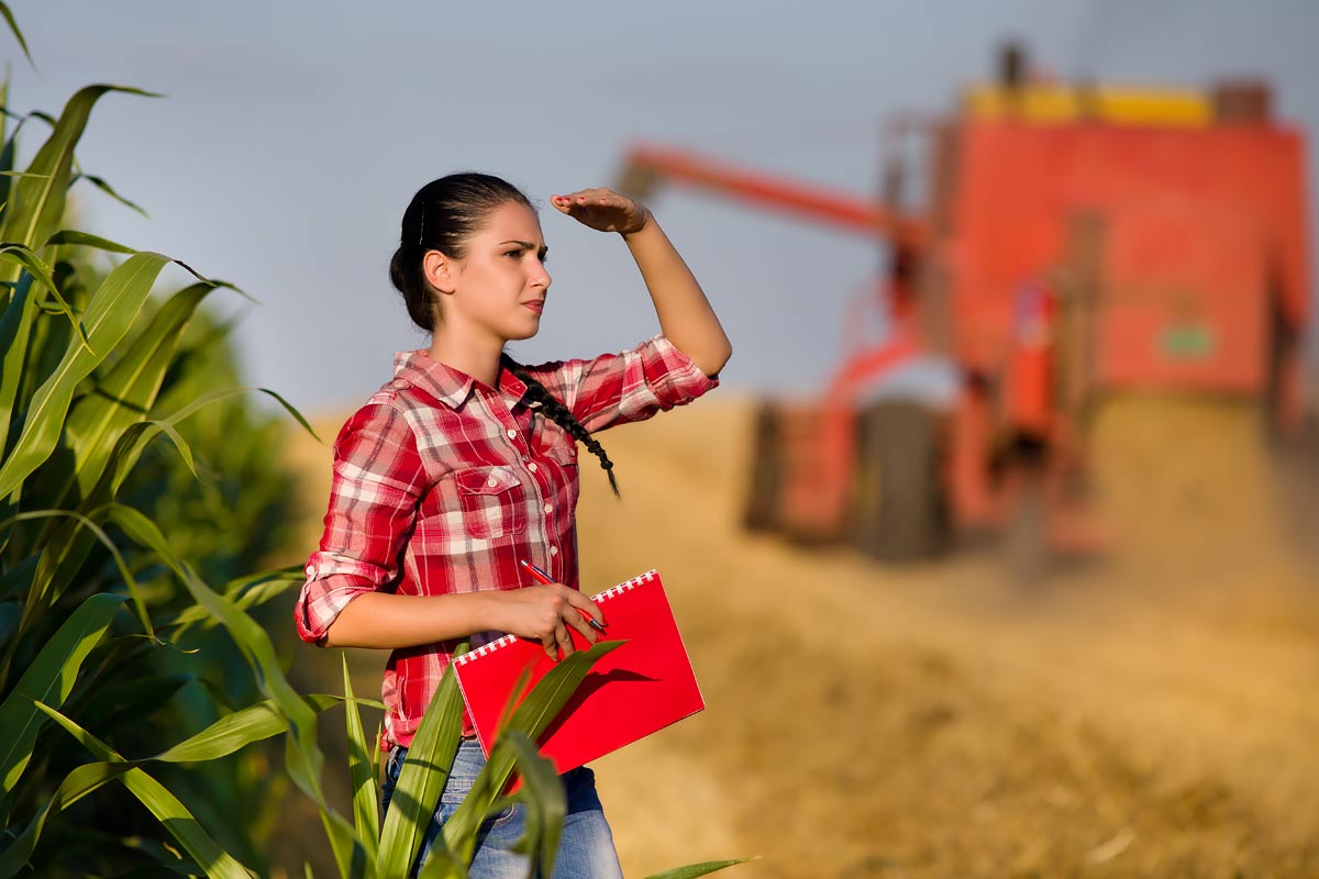 Woman agronomist in wheat field in Central Texas