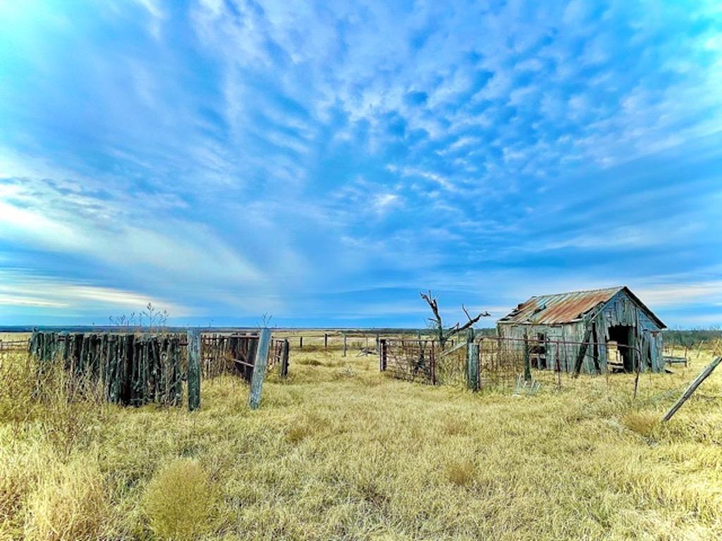 land auctioneers in texas 