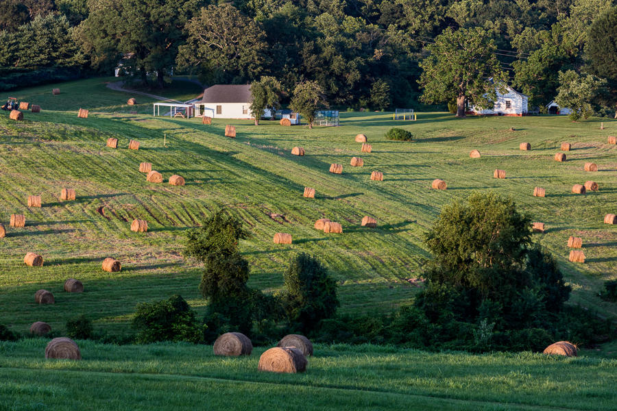 farm land auctions in north carolina 