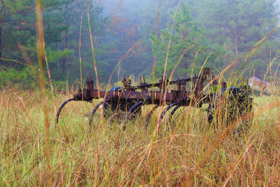 farm auctioneers north carolina 