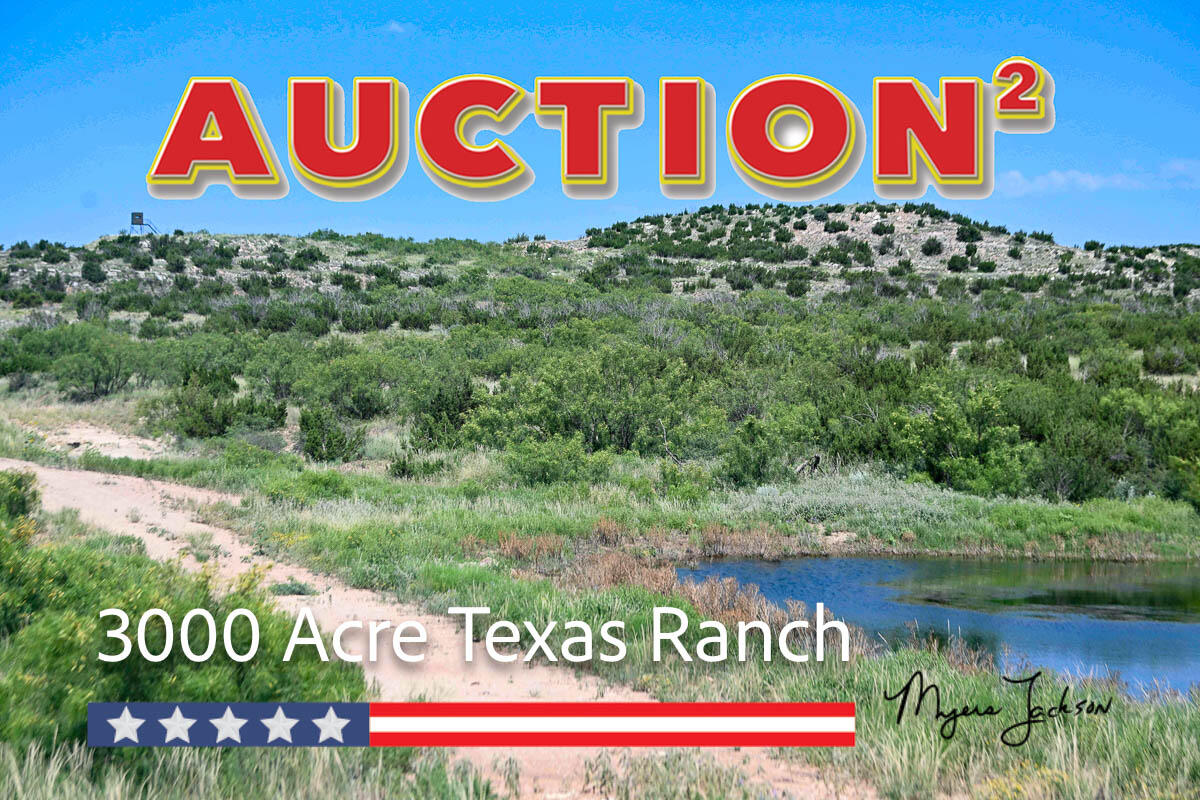 texas exotic game ranch for sale 