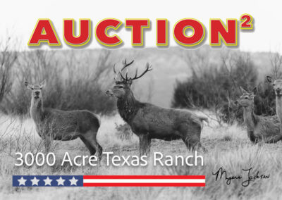 Texas Exotic Game Ranch