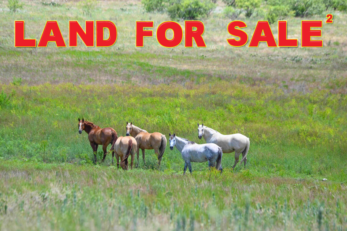 Ranch for Sale at Auction 