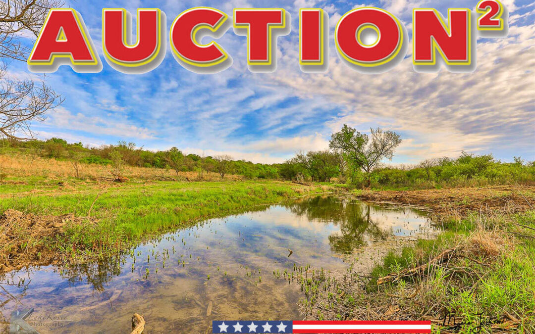 Texas Ranch for Sale at Auction
