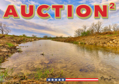 Texas Land Auctions