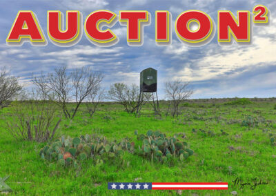 Texas Land Auctioneers