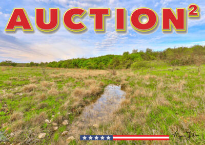 Texas Land Auctioneer