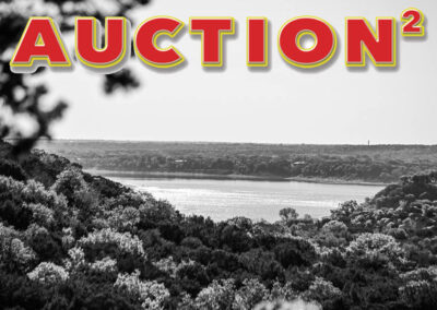 land auction texas