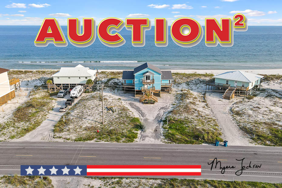 Gulf Shores Alabama Sun of a Beach Auction