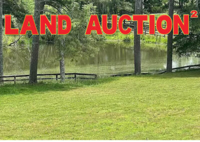 Georgia Land Auction
