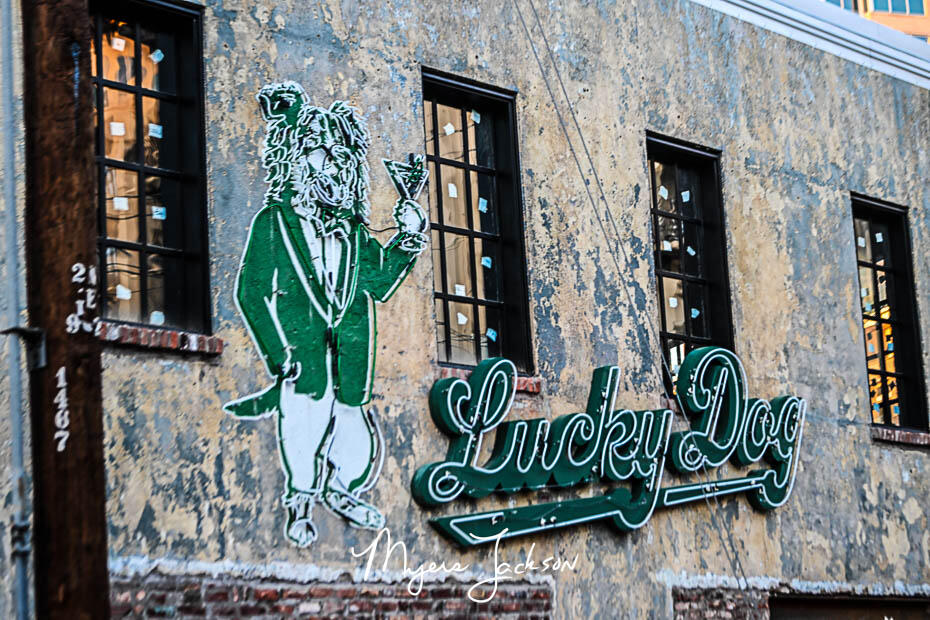 the lucky dog in dallas texas 