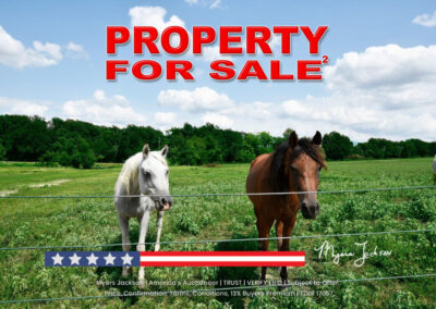 cheap land for sale in texas